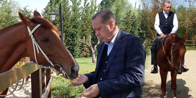 Başdanışmanı'ndan Erdoğan fotoğrafları paylaşımı