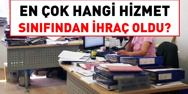 En çok hangi hizmet sınıfından ihraç oldu?