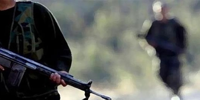 Ağrı'da 2 PKK'lı terörist etkisiz hale getirildi