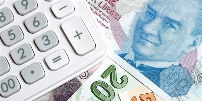 'Türkiye'de vergi denetimi konusunda epey yol alındı'