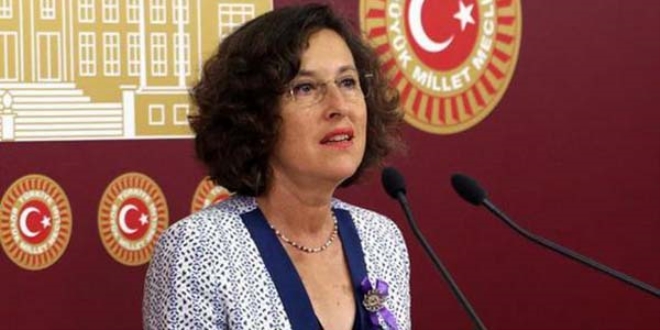 HDP'den Atatürk'e hakarete tepki