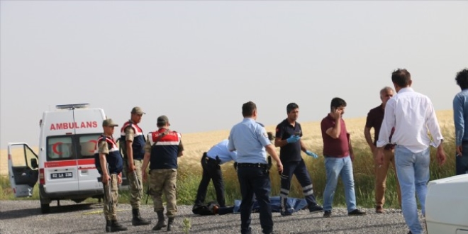 Adıyaman'da 2 kardeşin cesedi bulundu