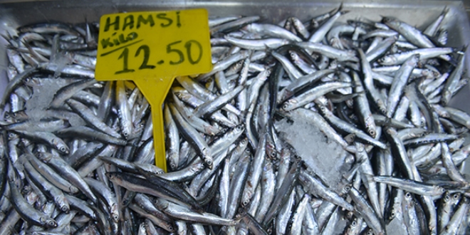 Bal�k��lara 'hamsi' s�rprizi