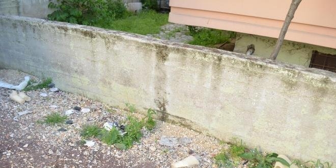 Yeni doğan bebeğini sokağa terk eden anne tutuklandı