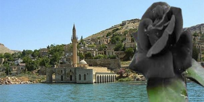 Halfeti'nin 'karagül' projesine uluslararası ödül