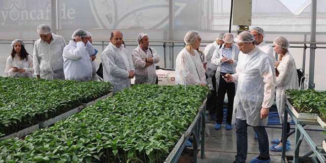 Rus tarım heyeti Mersin'de