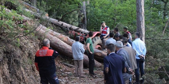 Karabük'te üzerine ağaç devrilen orman işçisi öldü
