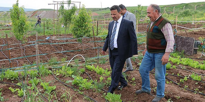 Akademisyenler hobi bahçelerinde stres atıyor