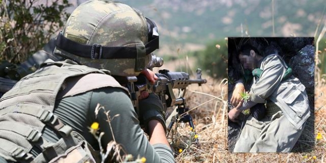 PKK'nın sözde 'Diyadin bölge sorumlusu' öldürüldü