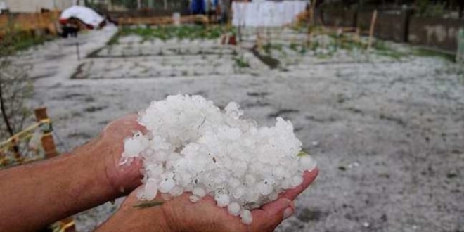 Erzincan'da dolu, tarım ürünlerine zarar verdi