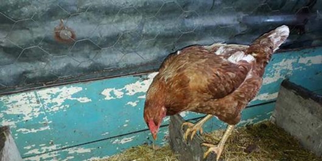 Fiyat�n� duyunca satmaya k�yamad�