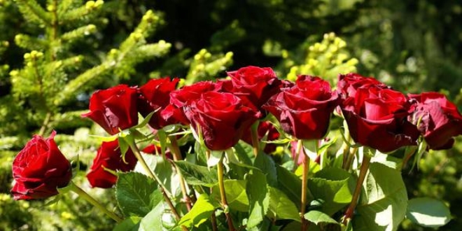 G�l sayesinde 5 milyon ton su tasarrufu