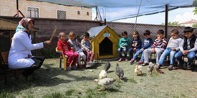 'Okul hayatın, hayat okulun içinde'
