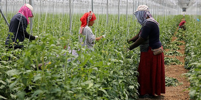 Tarım işçilerinin ramazanda ekmek kavgası