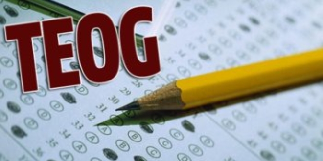 TEOG'da 'ikiz' başarı