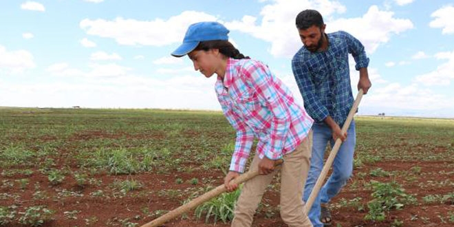 TEOG �ampiyonu oldu�unu tarlada �al���rken ��rendi