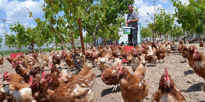 Hastalardan etkilenip başladı talebe yetişemiyor