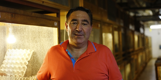 Hamam böceğinin tanesini 4 liradan satıyor