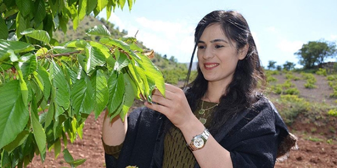 Yapra�� meyvesinden pahal�