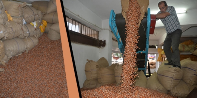 Pazara 401 bin ton f�nd�k indi