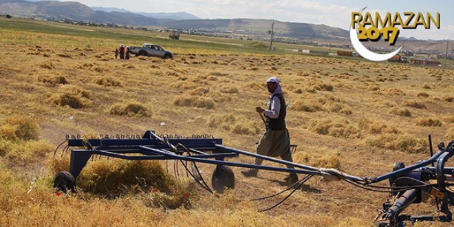 Ekmek paras� i�in ramazanda s�cakla imtihan