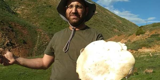 Dev mantar şaşırttı