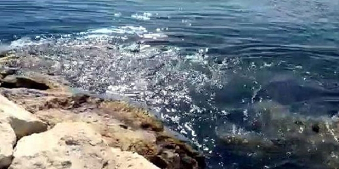 İzmir'de depremden sonra tsunami yaşanmış