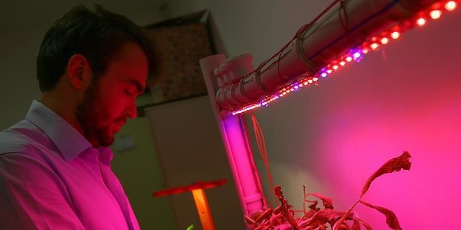 Öğrenciler tarımda LED kullandı verimi artırdı