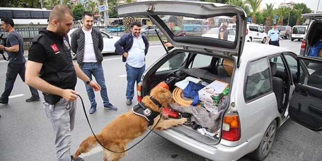 İstanbul'da 'Kurt Kapanı-6' operasyonu tamamlandı