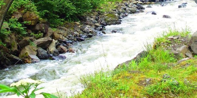 Rize'de dereye düşen kız çocuğu kayboldu