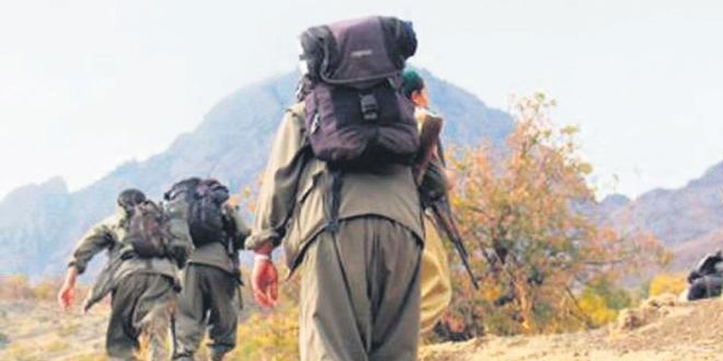 PKK terör örgütünün yeni inleri Alpler