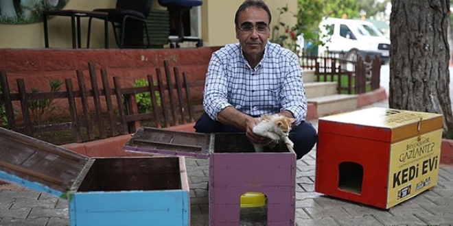 Eski se�im sand�klar� kedilere yuva oldu
