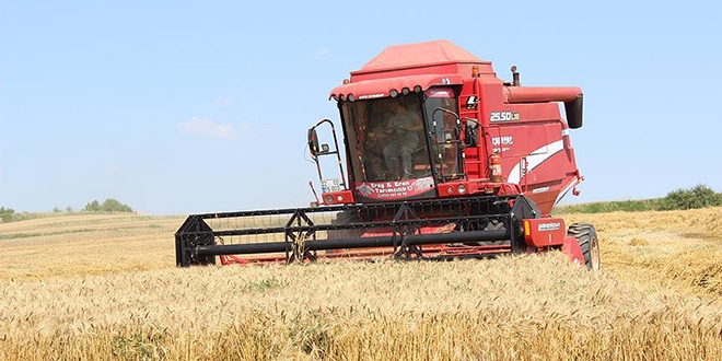 Edirne'de buğday hasadı başladı