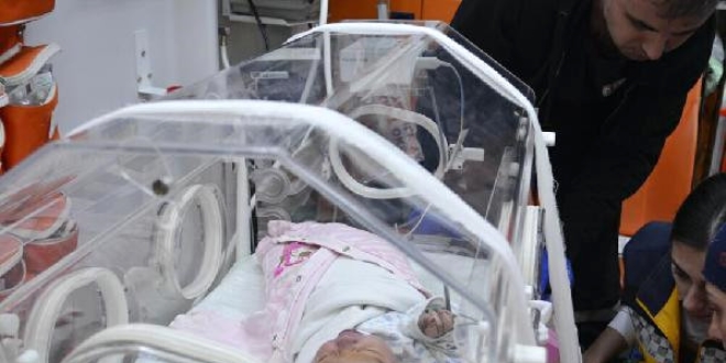 Sokakta bulunan bebek hastanede öldü