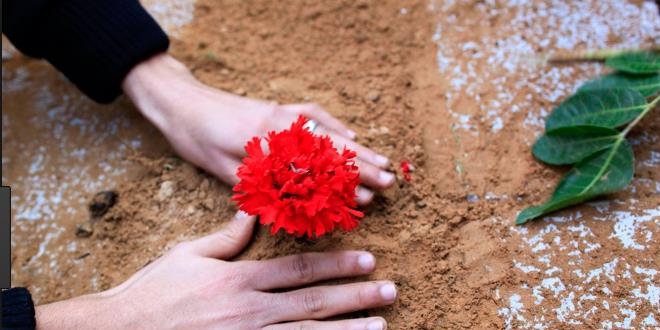 Gurbetçinin 'babamın toprağına çiçek dikin' isteği Belediye'ce yerine getirildi