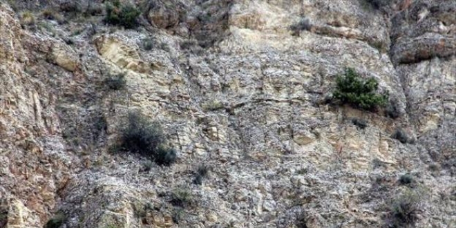 İtfaiye ekibi at için dağda 6 kilometre yürüdü