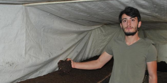 G�bre �retmek isteyenler i�in 'Solucan Oteli' a�t�