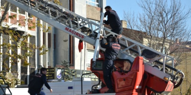 �tfaiye, 294 hayvan� kurtard�