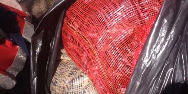 Marmaris'te 560 kilo bozulmuş midye ele geçirildi