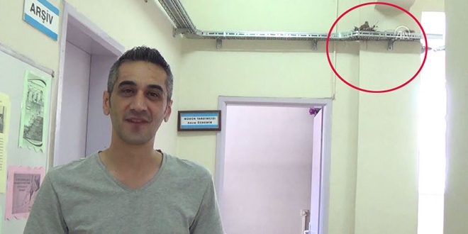 Kumrular okul koridorunda yuva yaptı