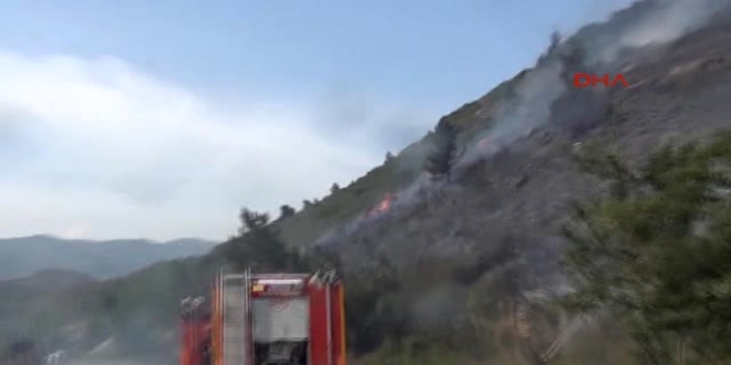 İzmir'de makilik alanda yangın çıktı