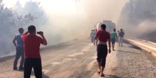 Antalya'da villaların bulunduğu bölgede maki yangını