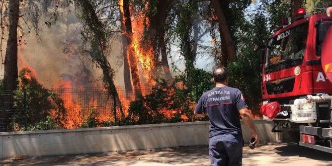 Antalya ormanları 8 ayrı noktadan yandı