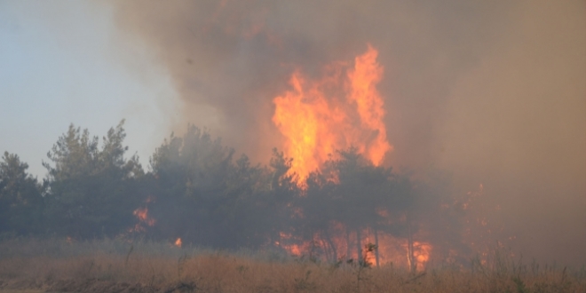 Denizli'de yang�n ��kt�! �ki mahalle bo�alt�l�yor