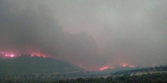 Denizli'deki orman yangnnda 150 hektar alan kl oldu