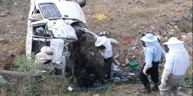 Sağlık görevlileri yaralılara arı maskesi takarak müdahale etti