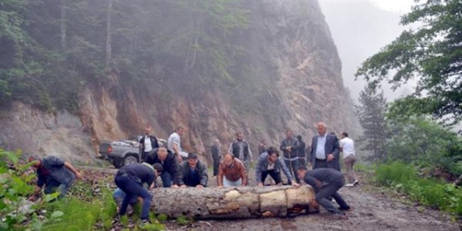 Danıştaydan Cerattepe kararı