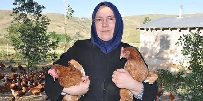Moldovalı gelin kurduğu çiftlikte 950 yumurta üretiyor