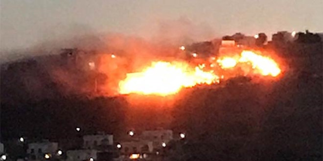 Bodrum'da makilik alanda yangın çıktı