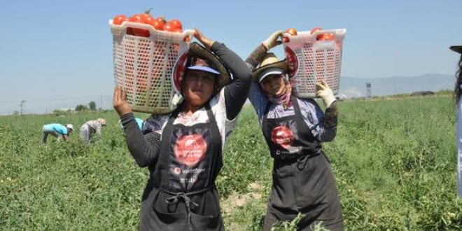 Ak�ll� K�y'�n ilk hasad�n� ba�kan ve personeli yapt�